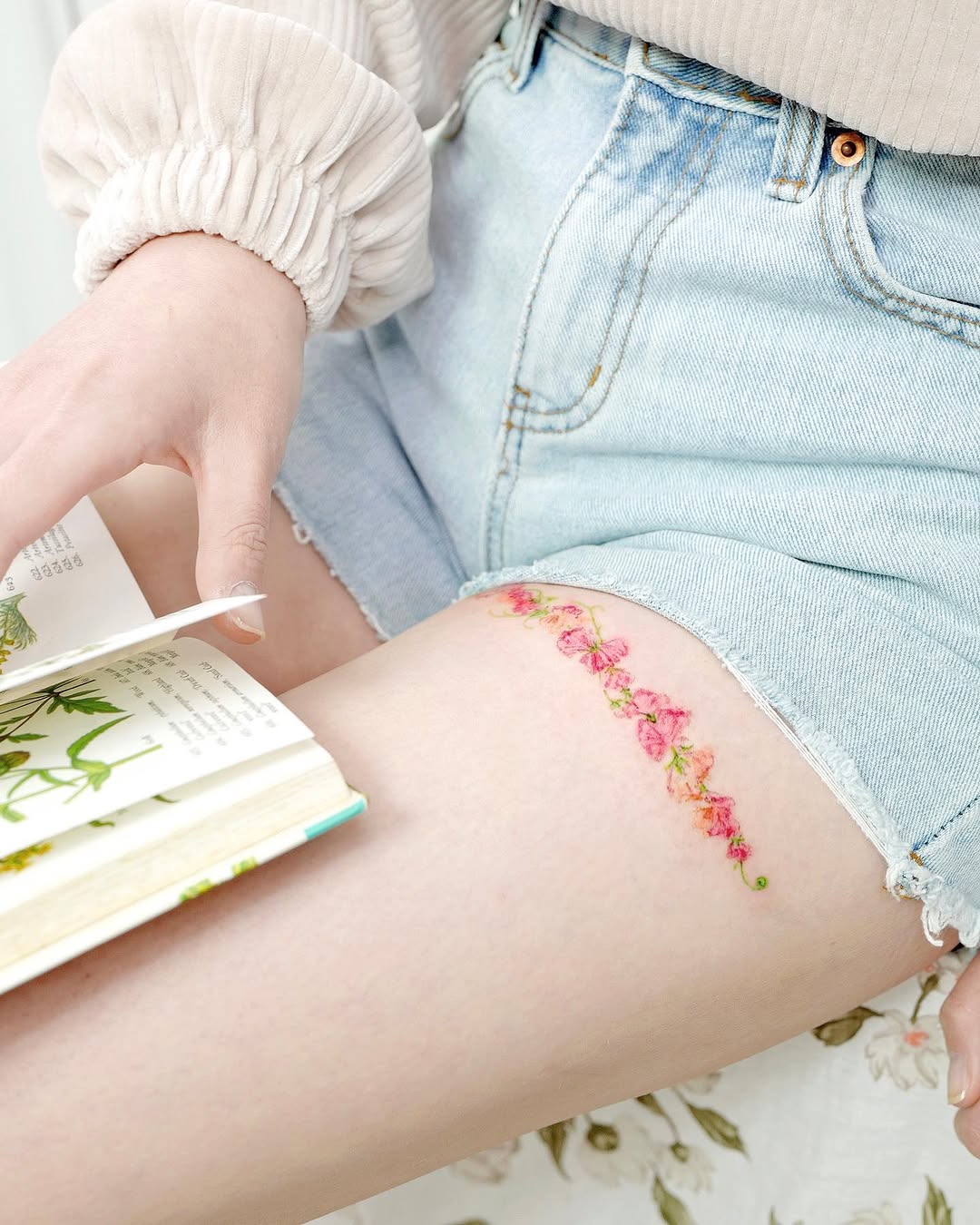 Flower, 양귀비, Rose