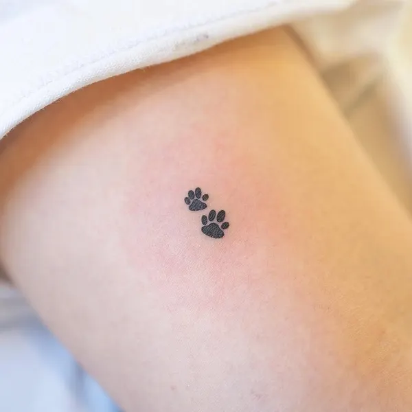 Animal