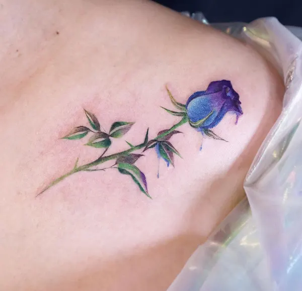 Flower, Rose