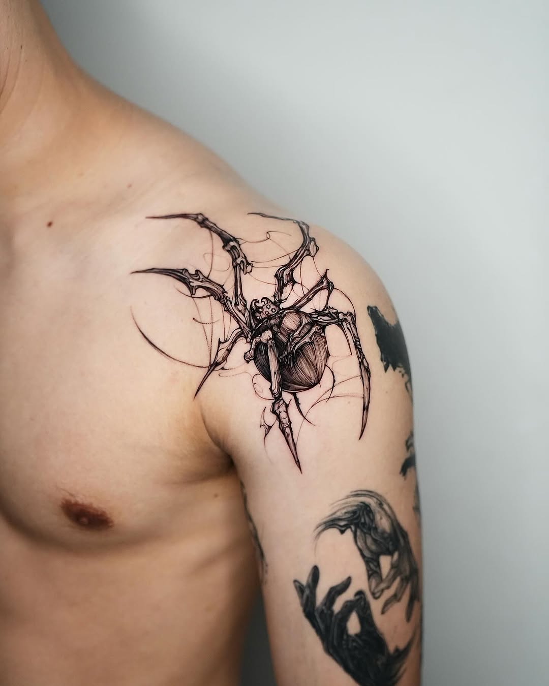 Animal, 거미