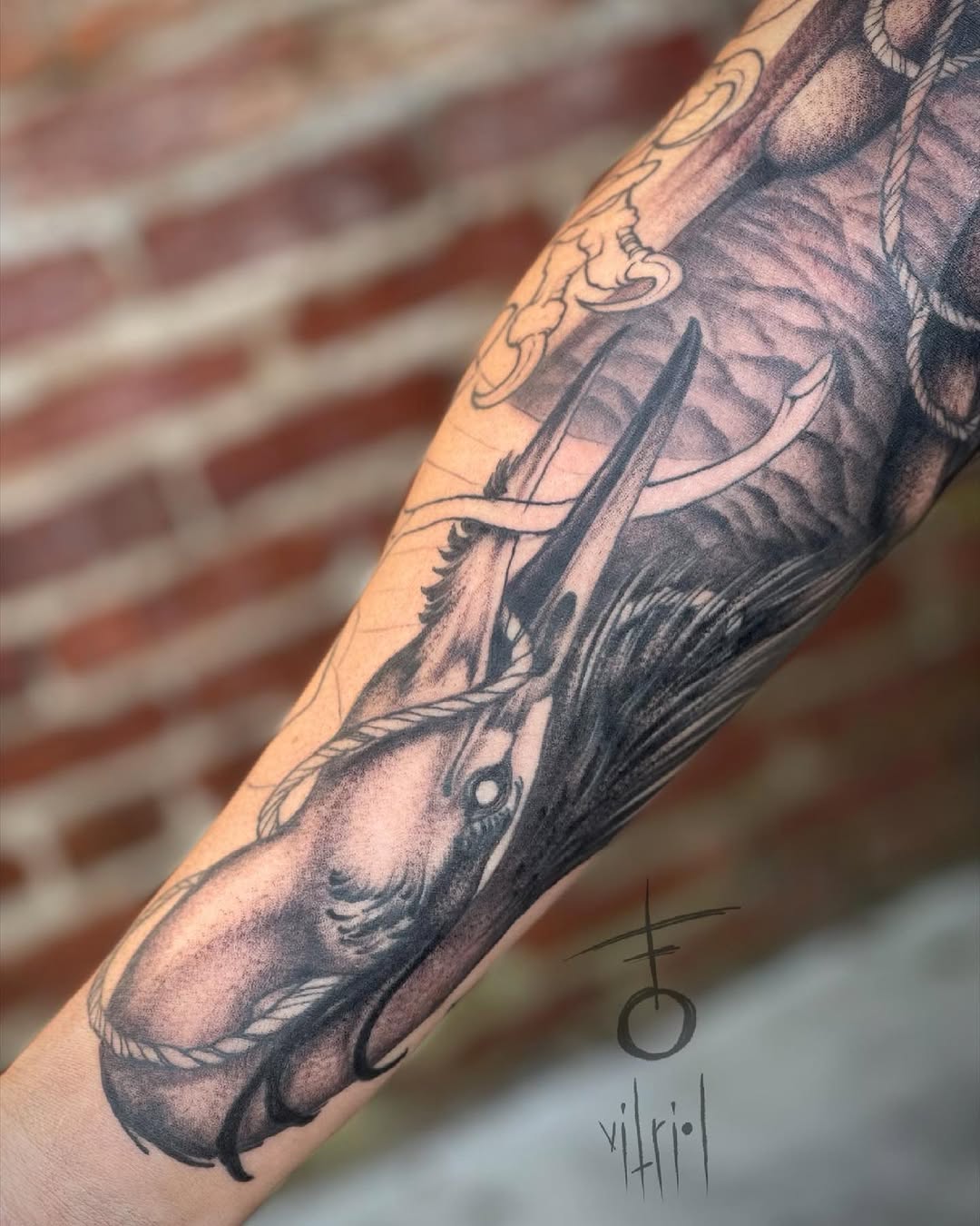 vitrioltattoo