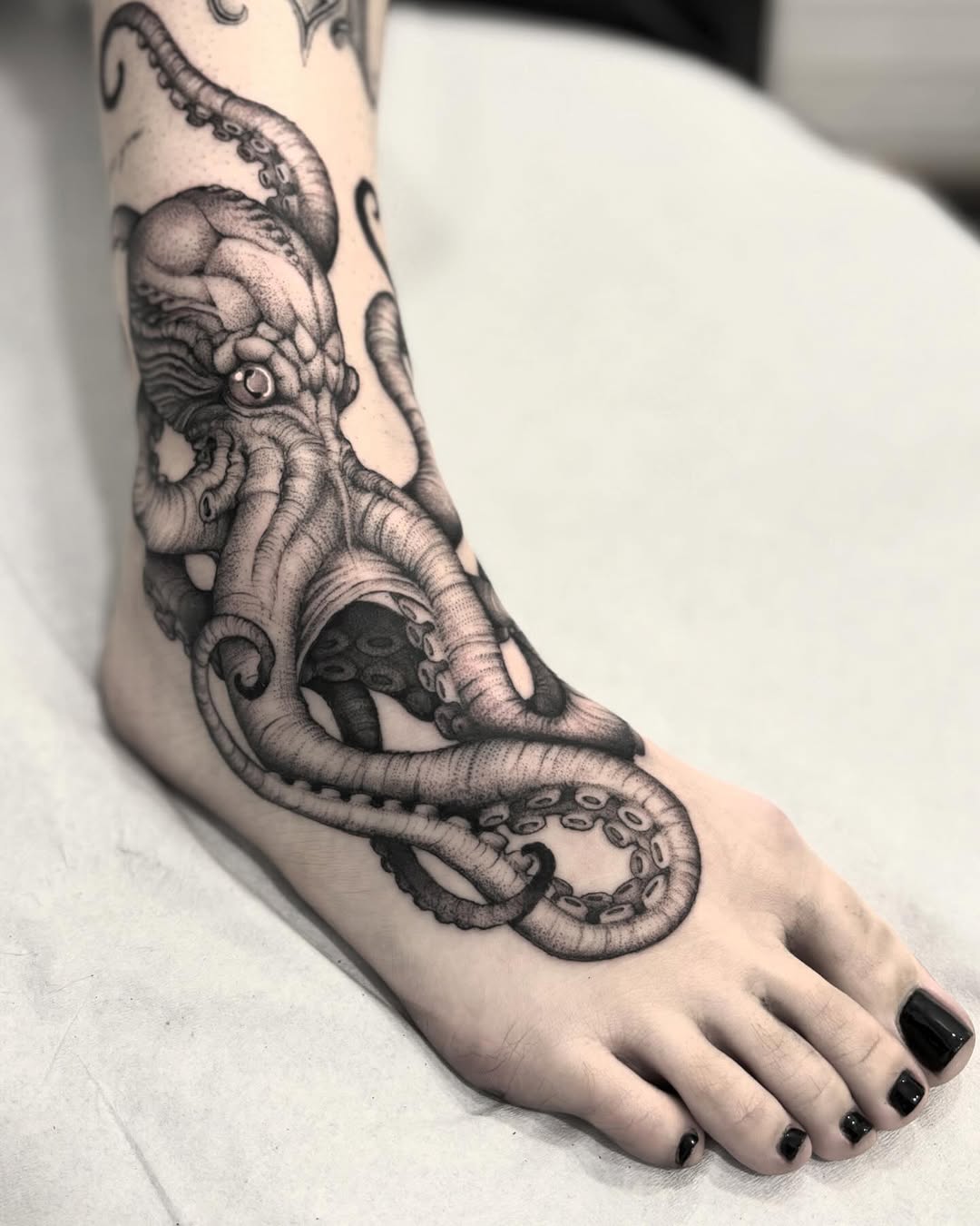 Animal