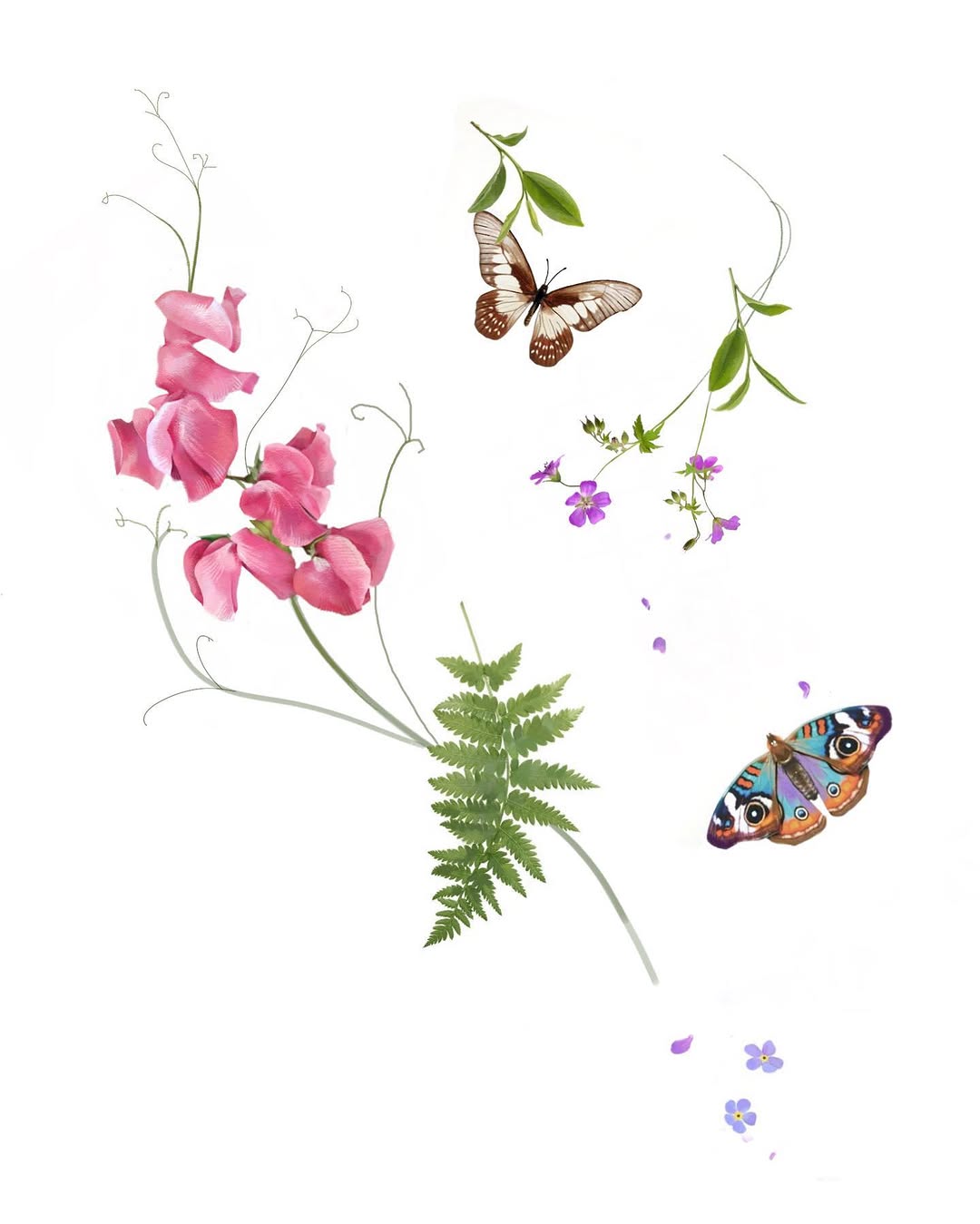 Nature, Flower, Animal