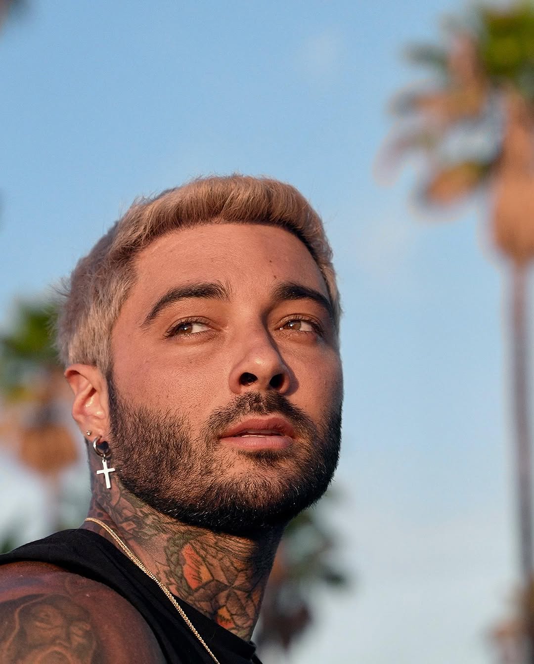 romeolacoste