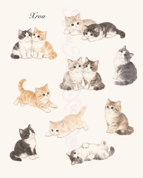 Animal
