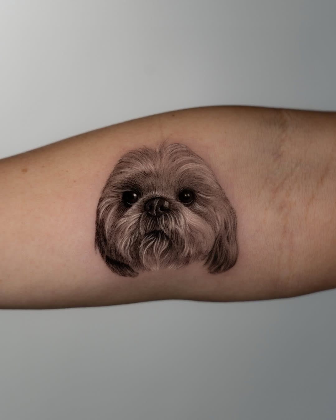 lewis.tattoo