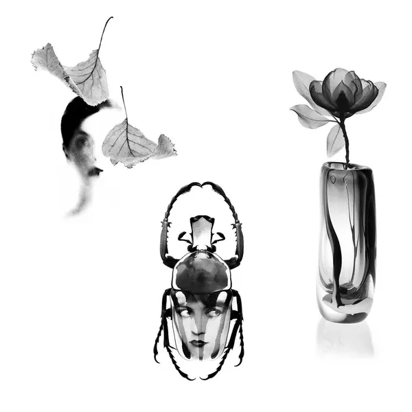 plantsnpokes