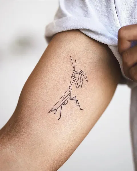 equilattera