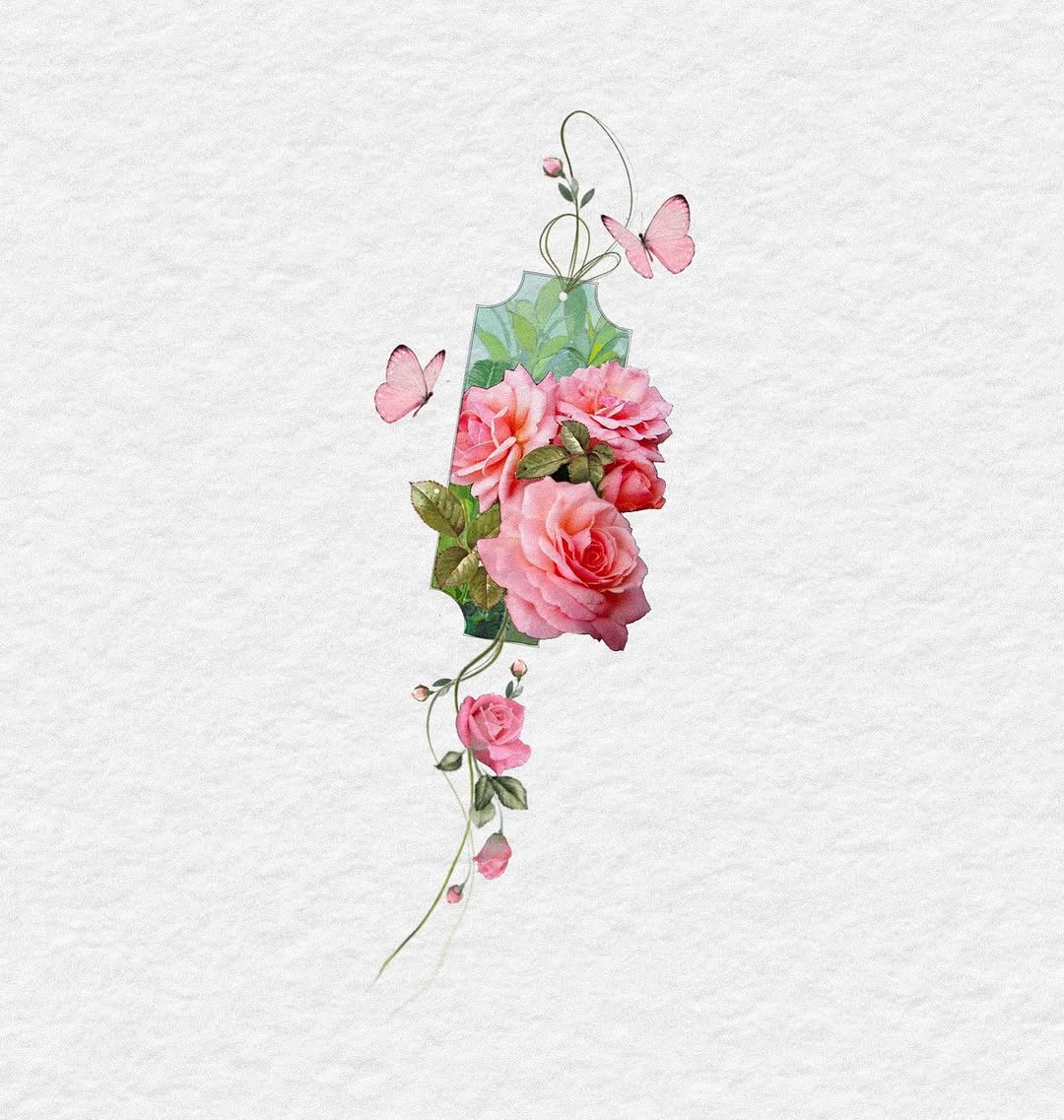 Flower, Rose, Nature
