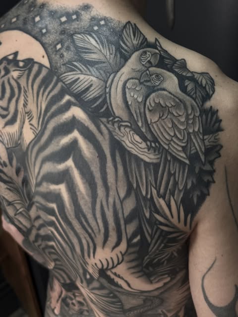 Tiger