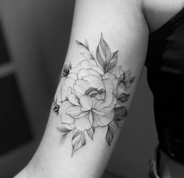 Flower, Rose