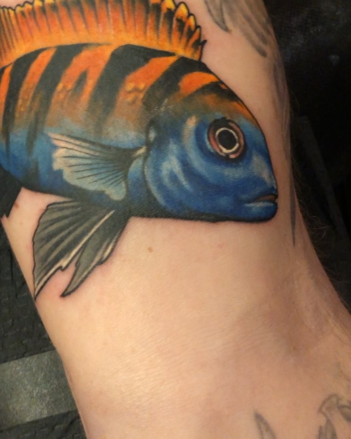 Animal