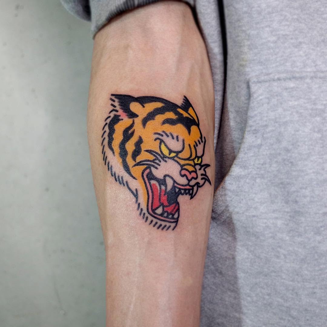 Tiger, Animal