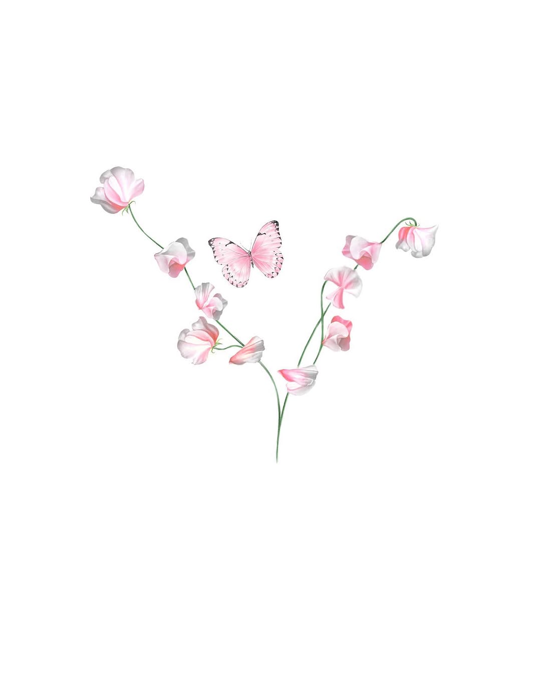 Flower, Nature