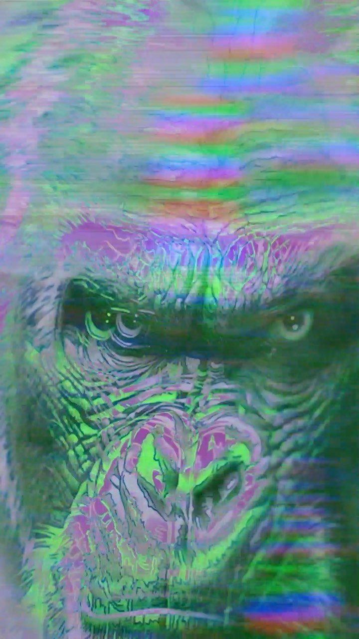 Animal, Tiger