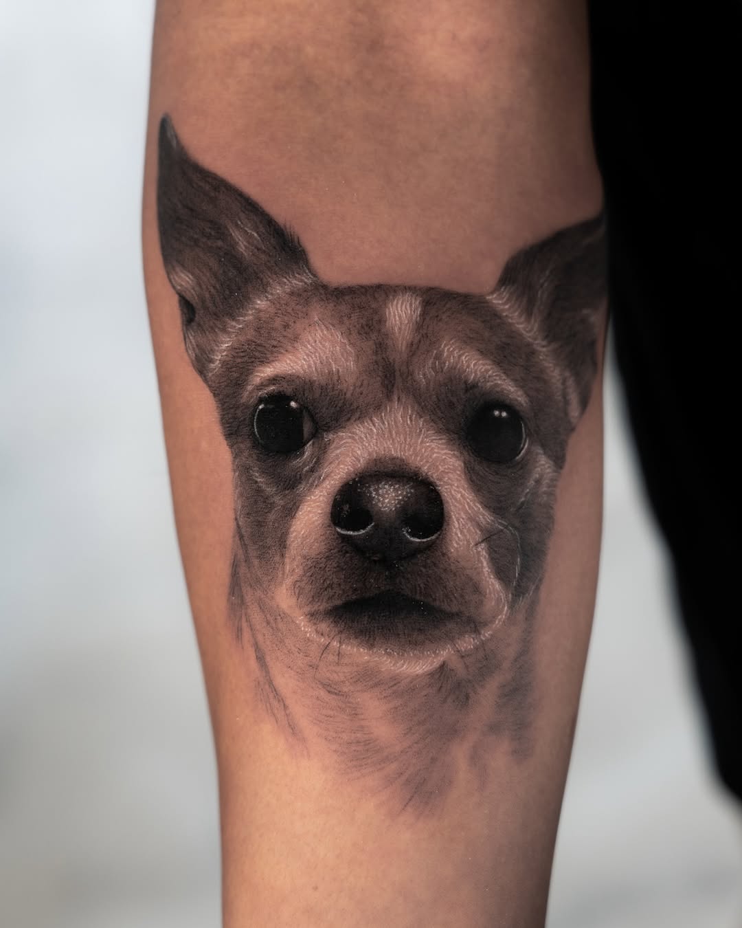 lewis.tattoo
