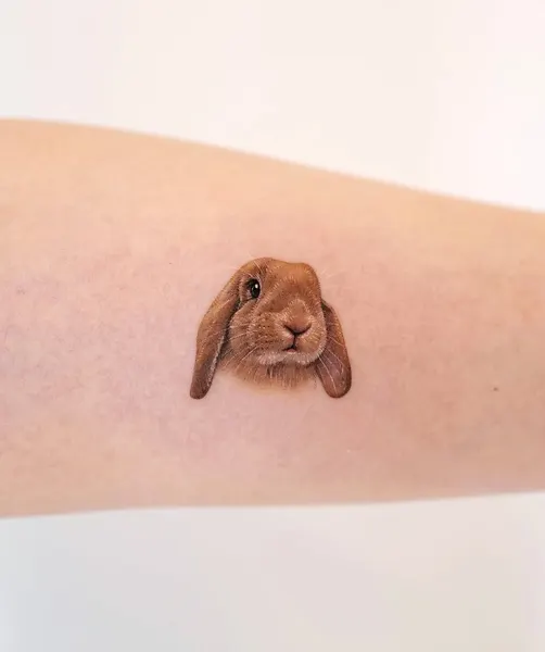 Animal