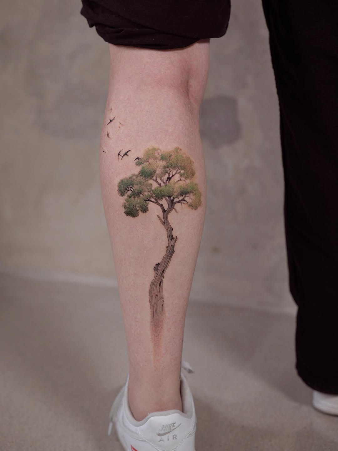 Nature, 나무, 소나무