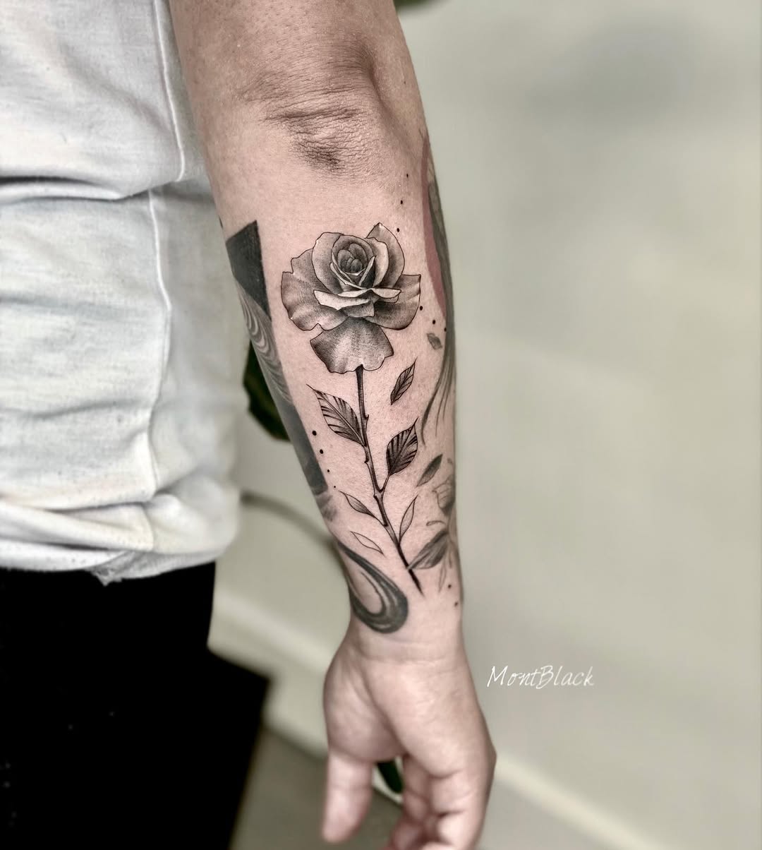 Flower, Rose