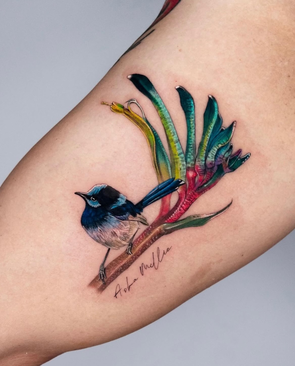 Animal, Flower