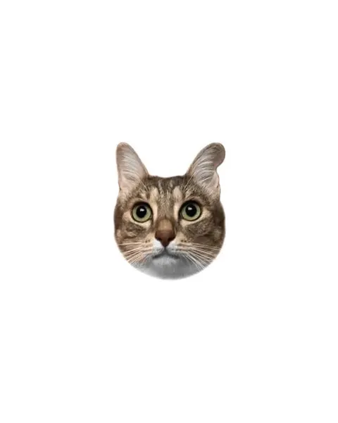 고양이, 마네키네코, 여우 가면
