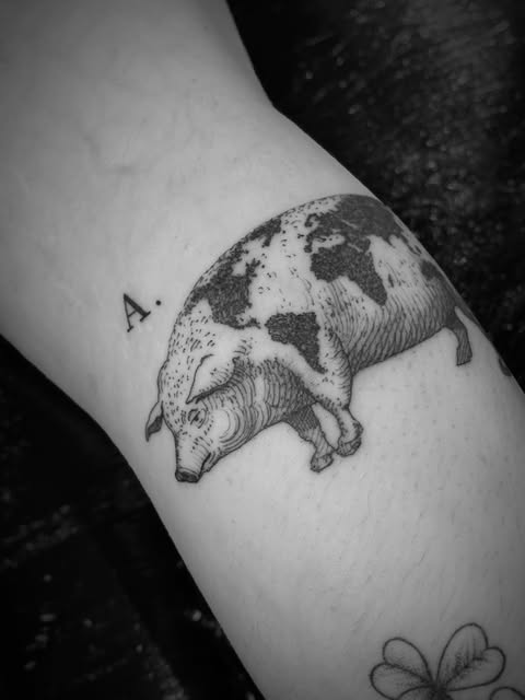 Animal, 돼지