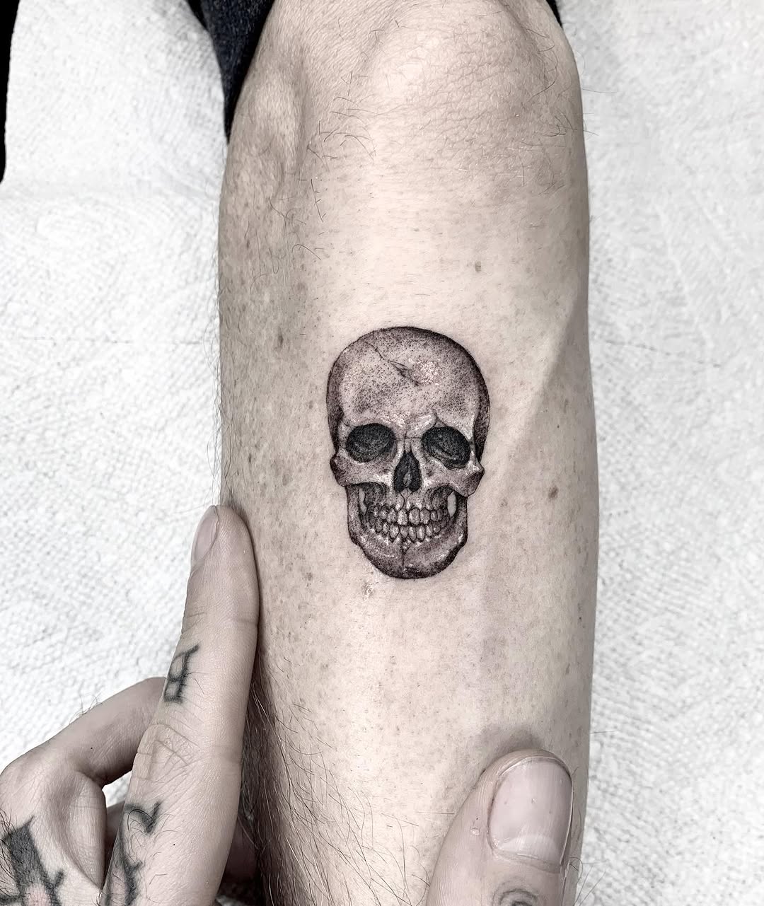 romeolacoste