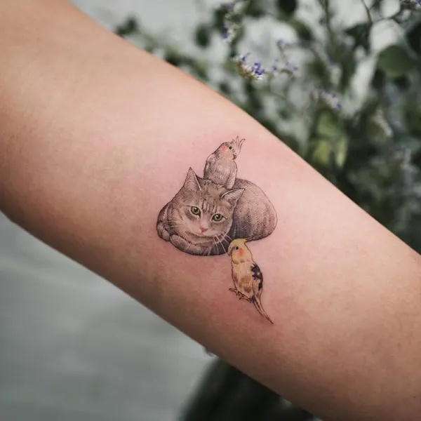 soltattoo