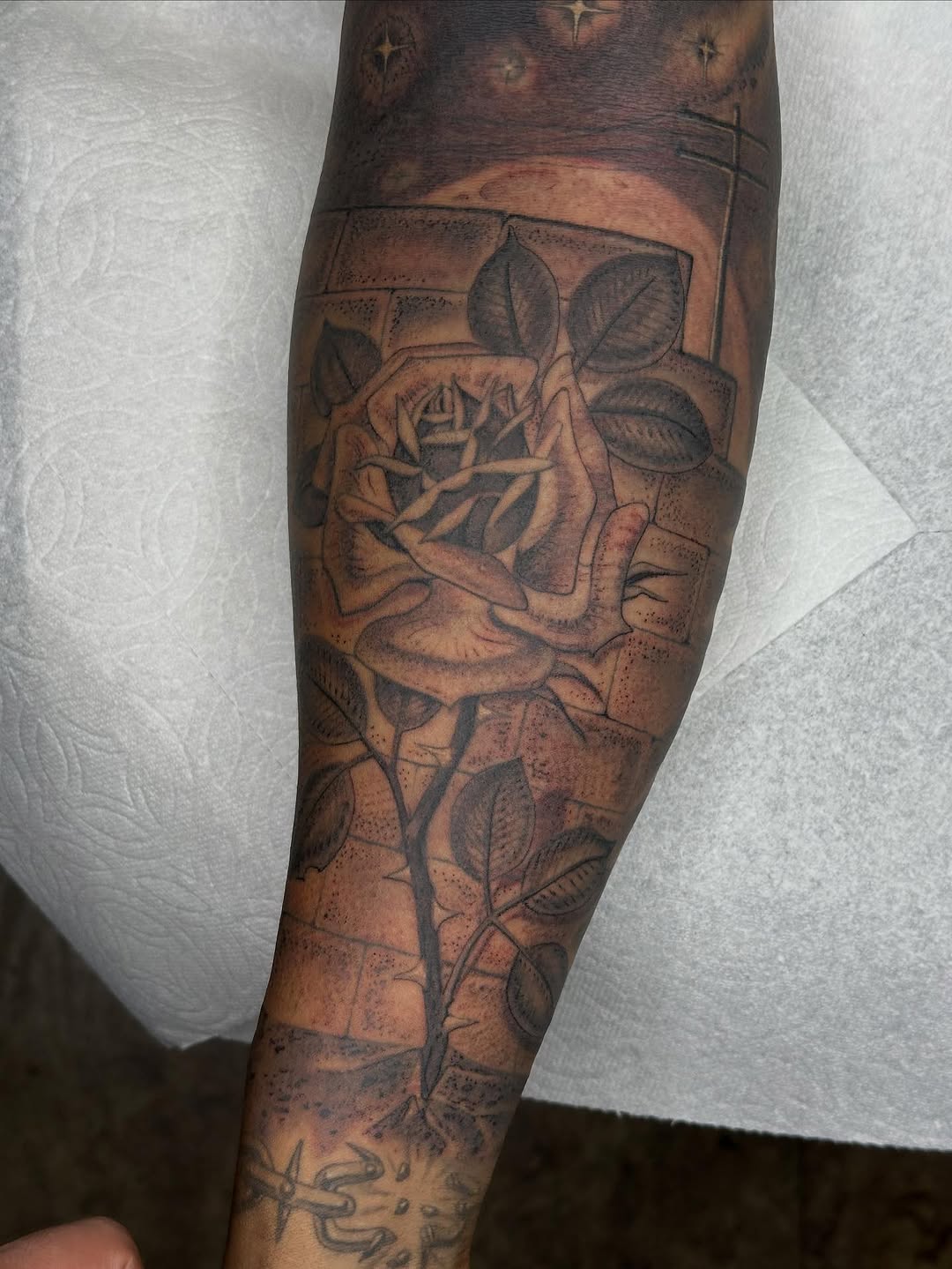 Flower, Rose