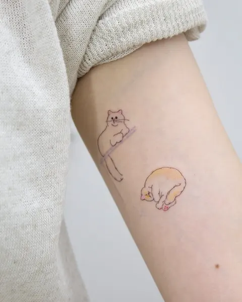 Animal