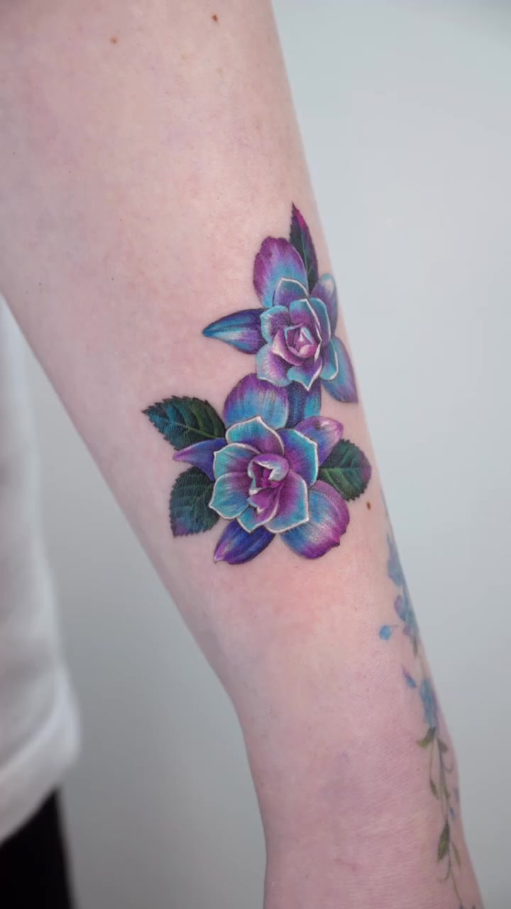 Flower, Rose
