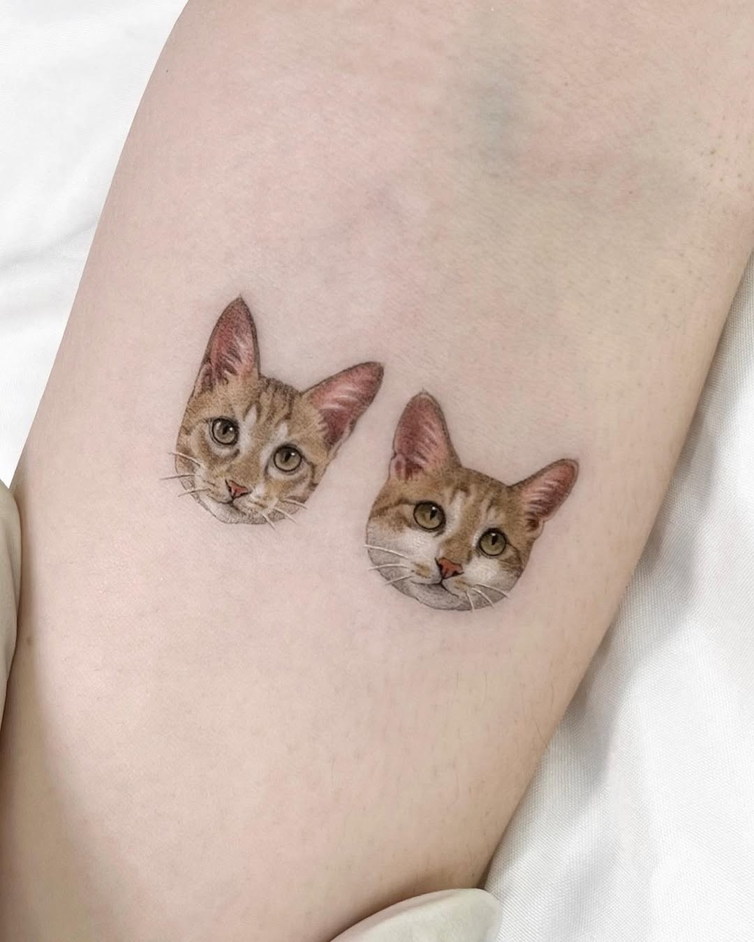 dorok.tattoo