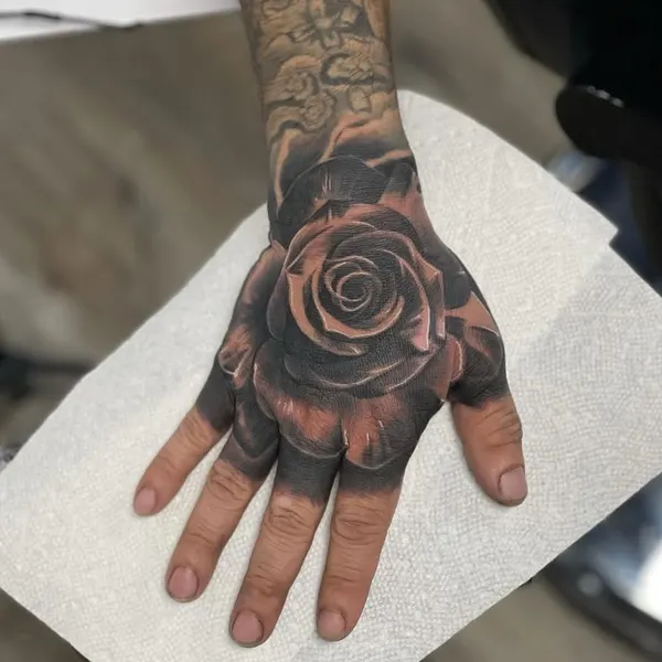 Flower, Rose