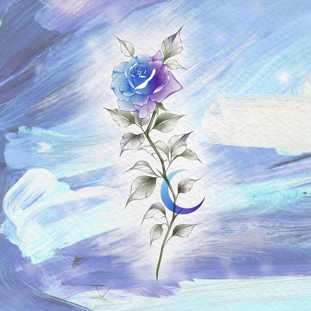 Flower, Rose, Nature