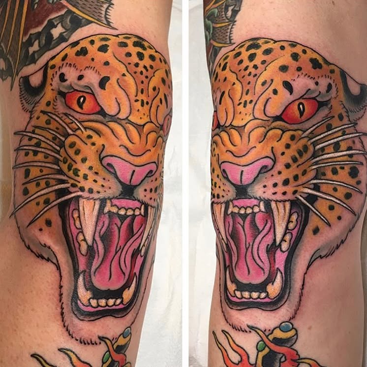 Tiger, Animal