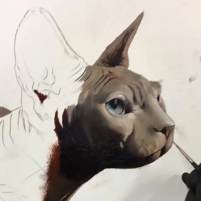 Animal