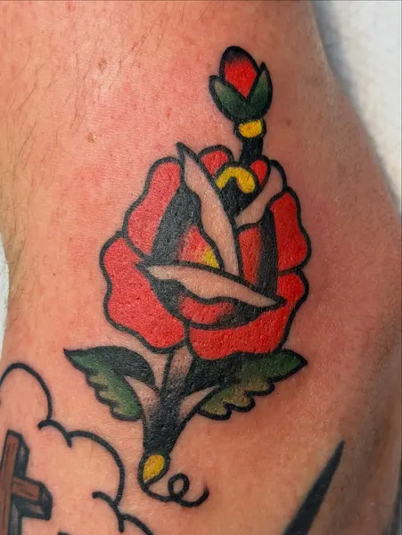 Flower, Rose