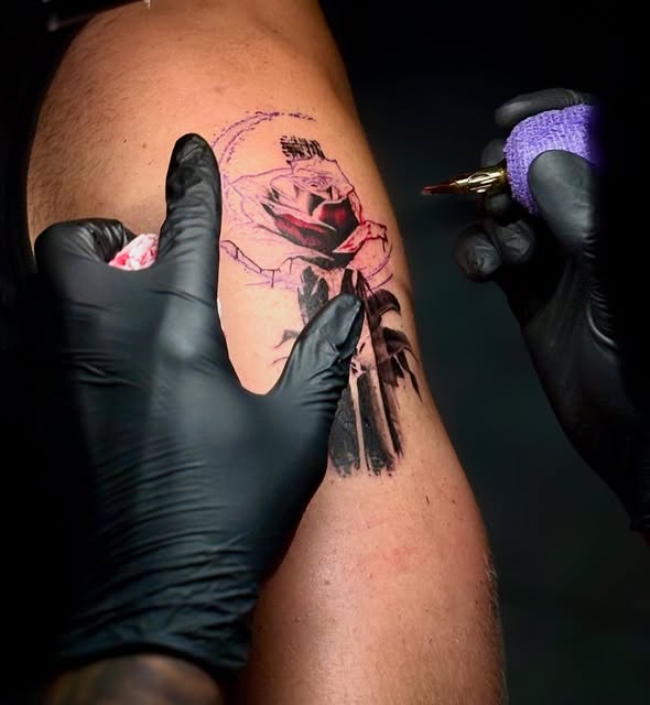 Flower, Rose, Nature