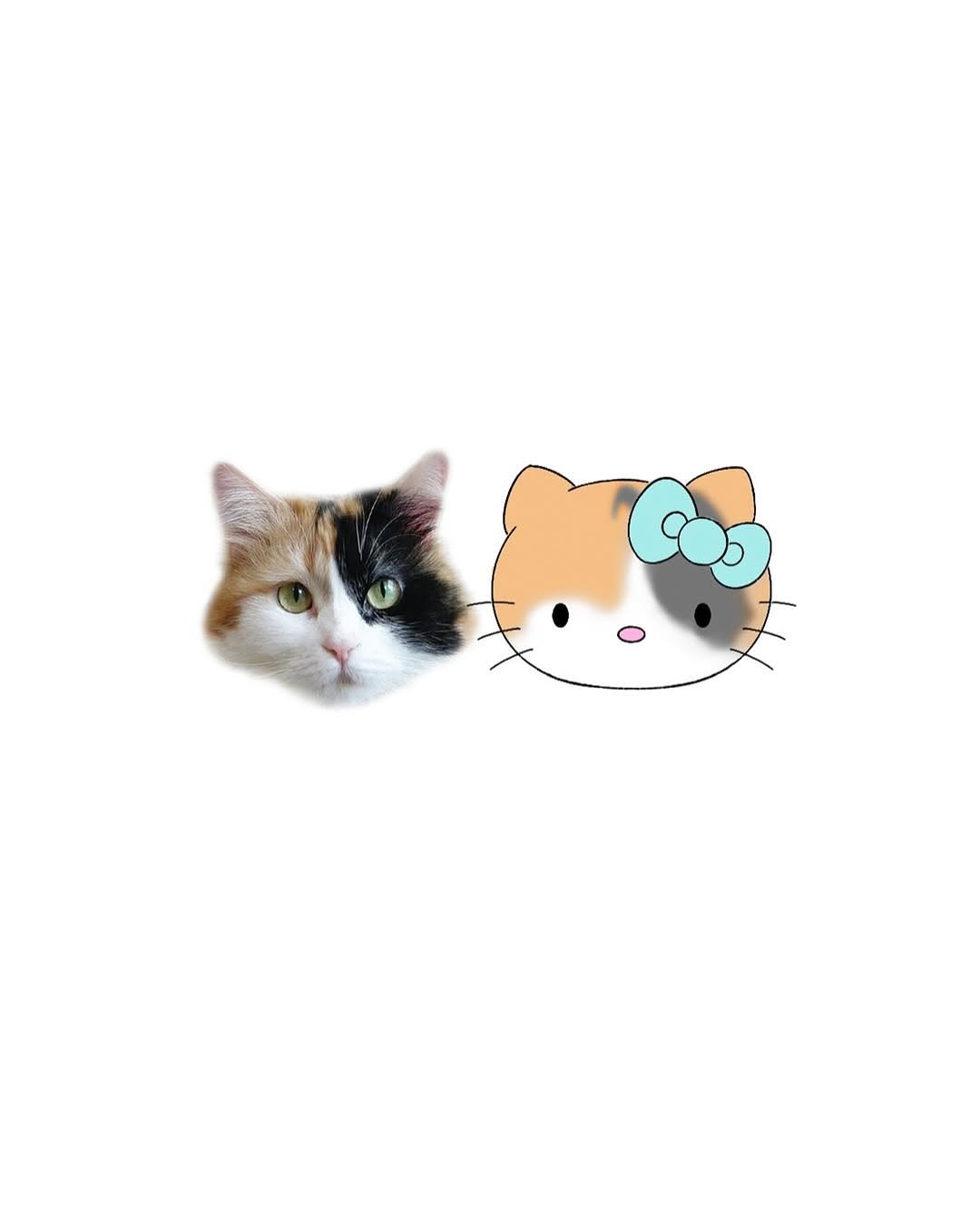 tatti_seoul