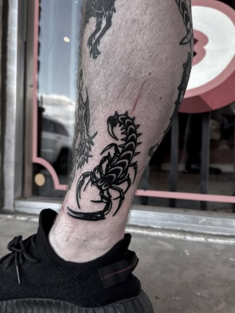 Tiger, Animal