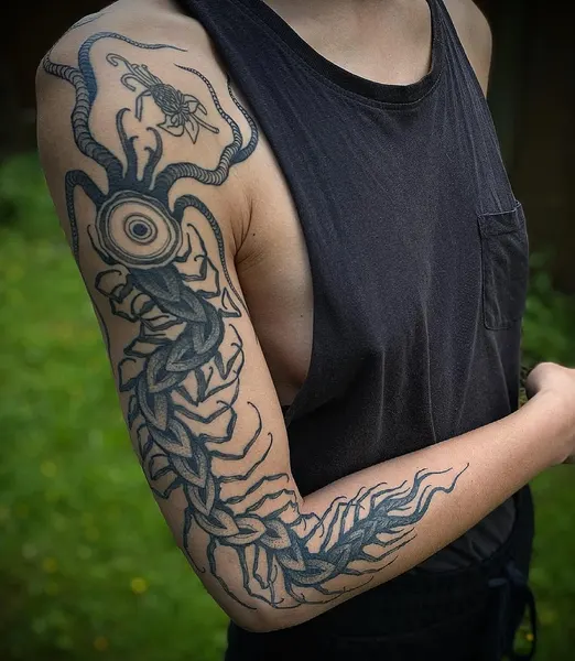 Dragon, Animal