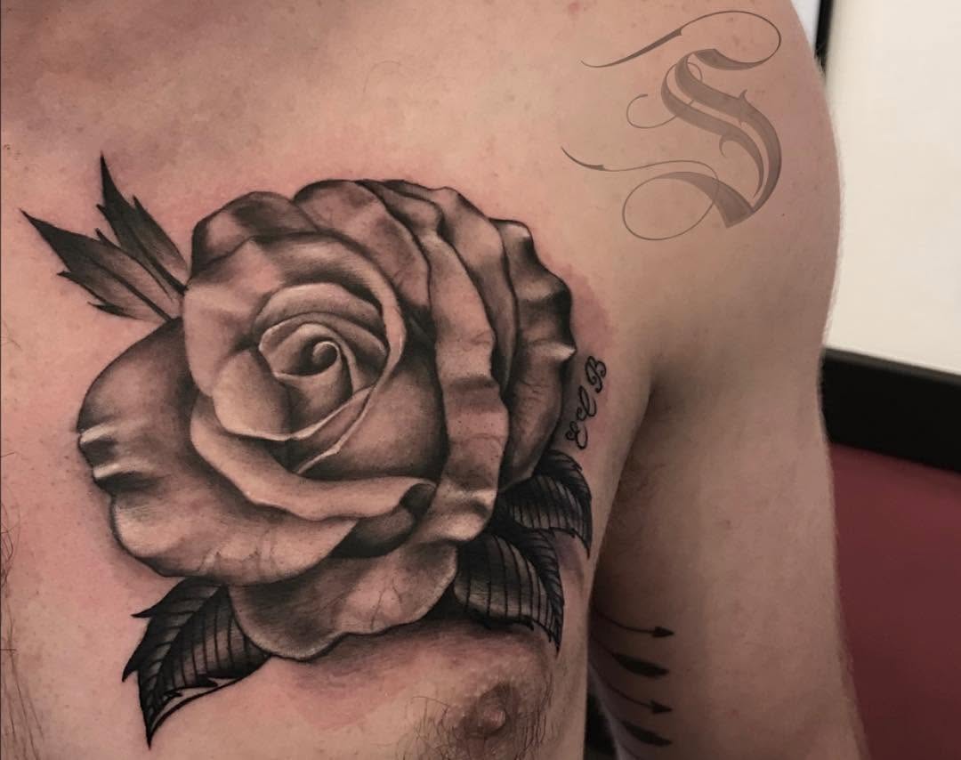 Flower, Nature, Rose