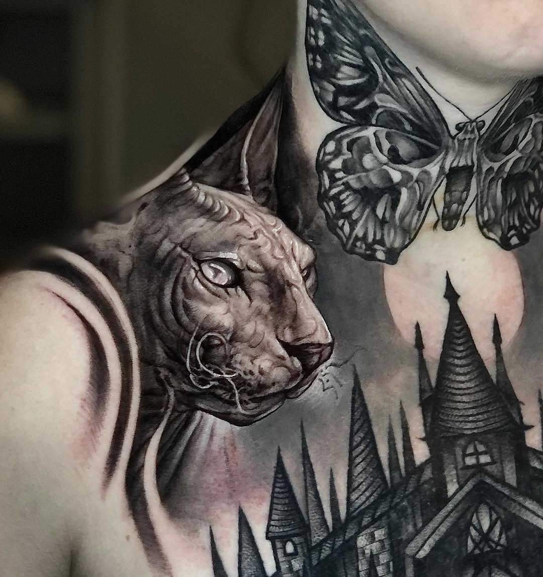 Animal