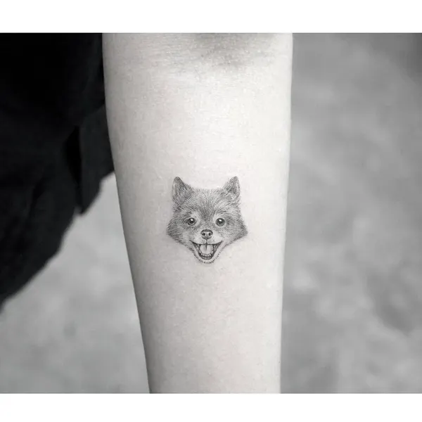 Tiger, Animal