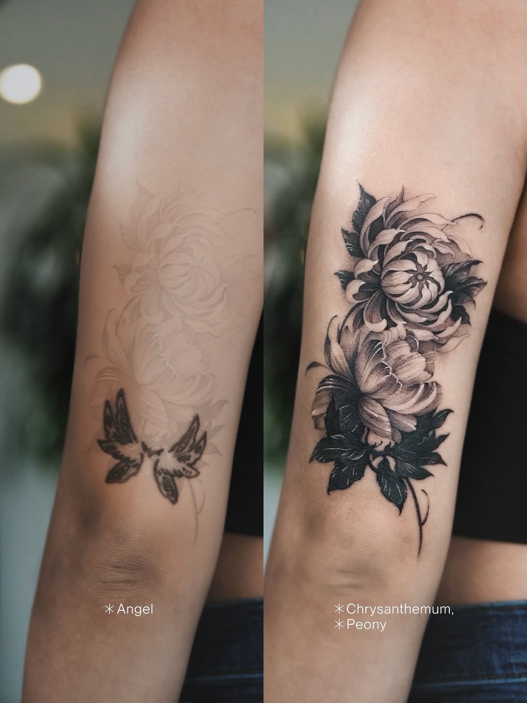 Flower, Rose