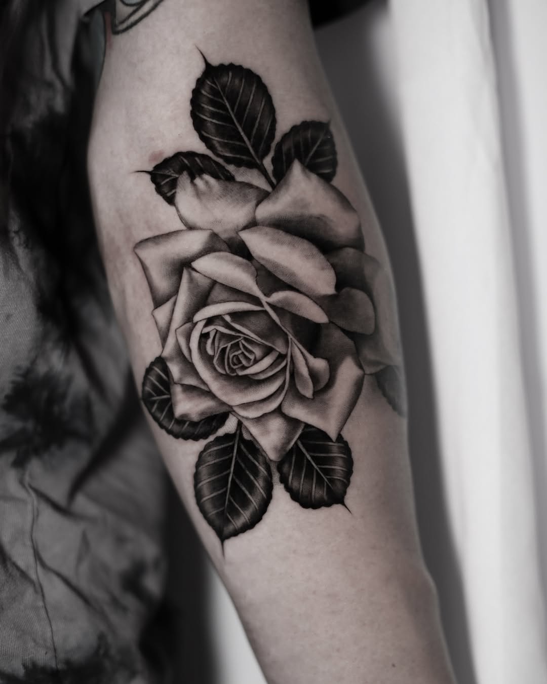 Flower, Rose