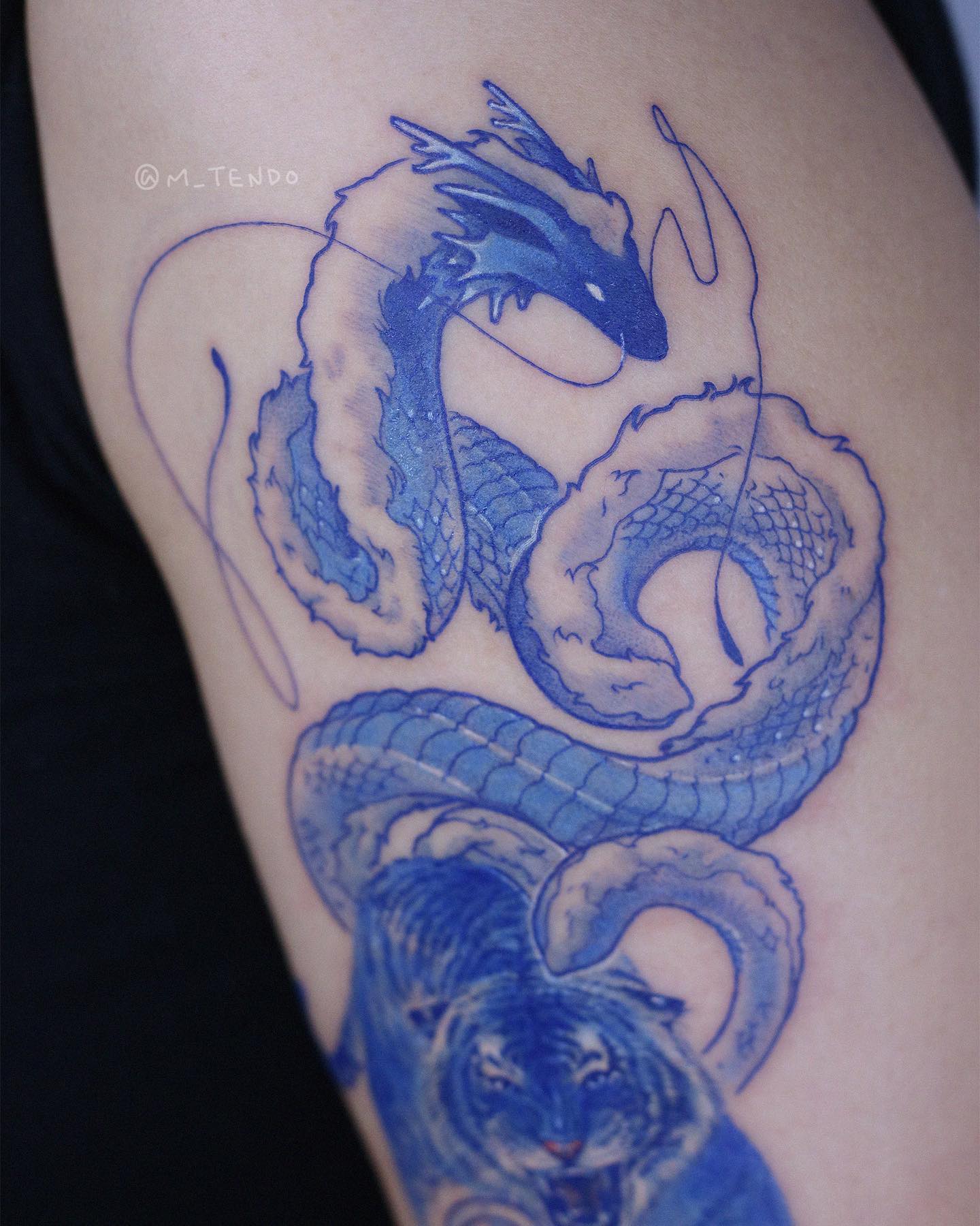 Tiger, Dragon