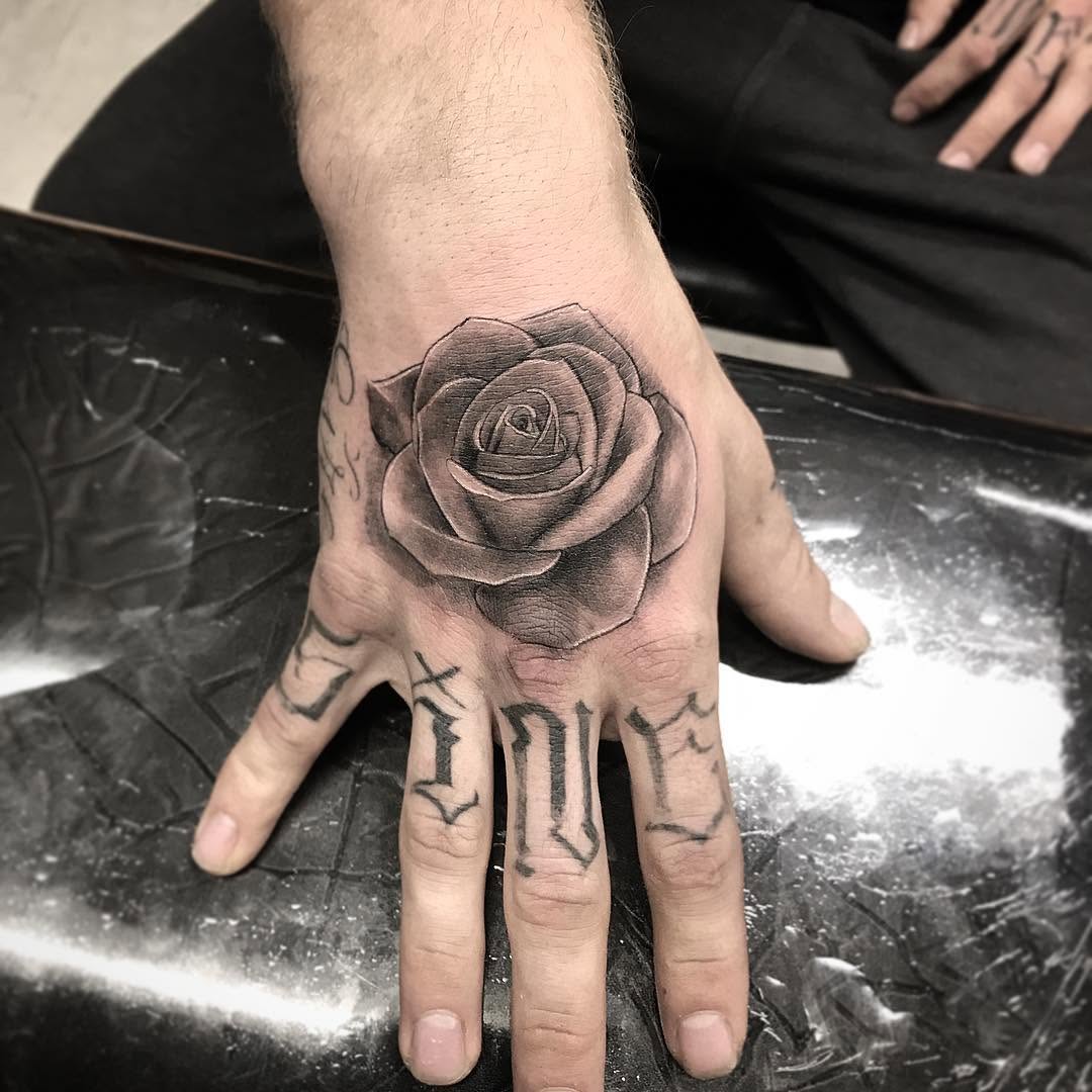 Flower, Rose