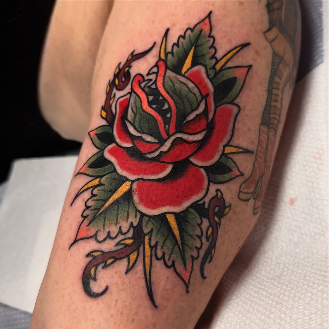 Flower, Rose