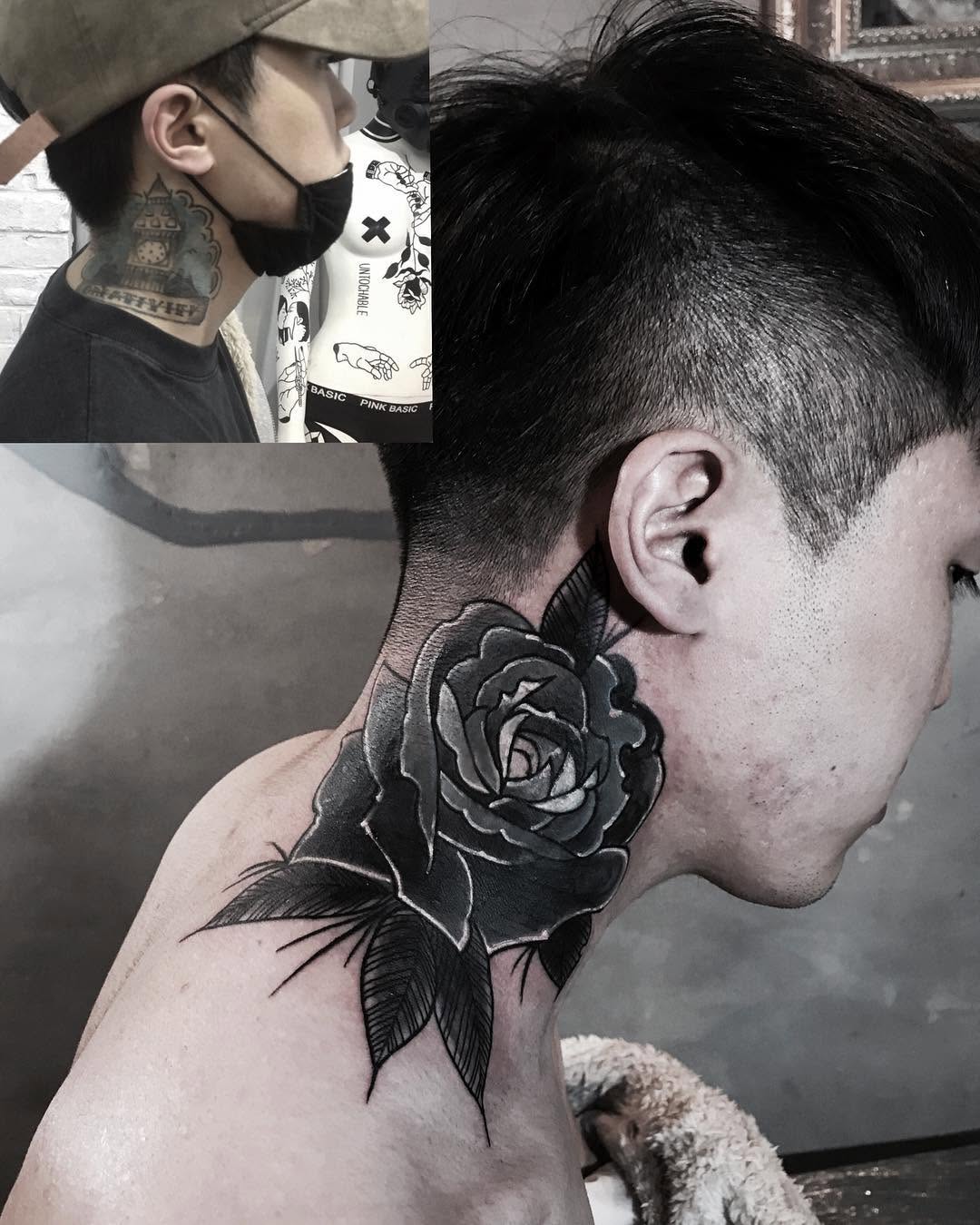 Flower, Rose, Nature